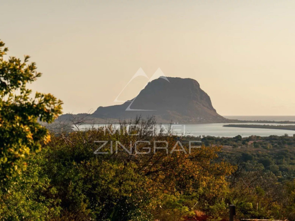 Vue panoramique sur un paysage naturel avec une montagne et l'océan en arrière-plan.