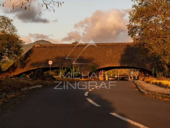 Entrée d'une villa avec toit en chaume sur une route entourée de verdure à Rivière Noire.