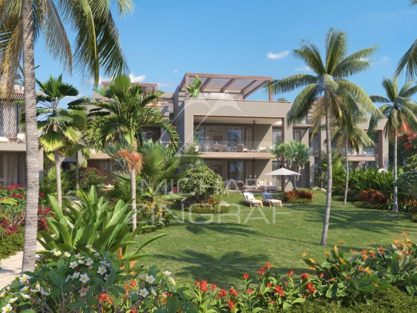 View of a ground floor apartment with garden and palm trees in Roches Noires.