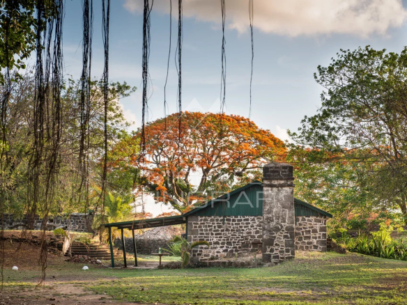 Vue d'une villa contemporaine avec un grand arbre et une cheminée en pierre dans un espace vert.