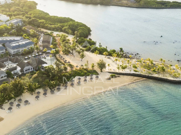 Vue aérienne d'une plage avec des parasols et des palmiers, bordée par un parcours de golf.