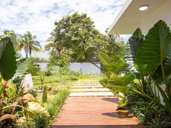 Allée menant à une villa de luxe entourée de verdure et de plantes tropicales.