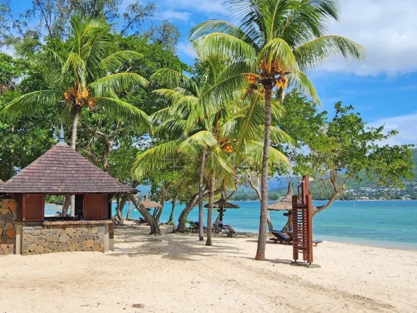 Beach with huts and palm trees, sea view and a mountain in the background.