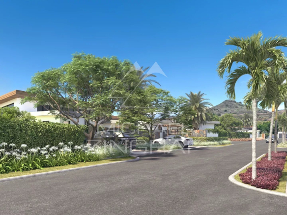 Vue de la villa Clusia à Tamarin avec route et végétation environnante.