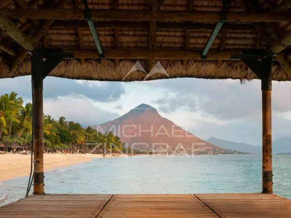Vue sur la plage et la montagne depuis un abri en bois à Tamarin