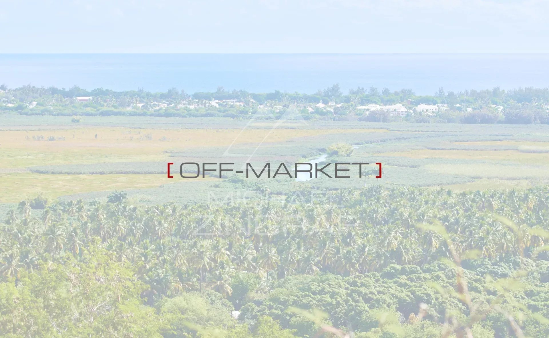 Vue panoramique sur la nature et la mer, près des plages de l’Ermitage à Saint-Paul, La Réunion.
