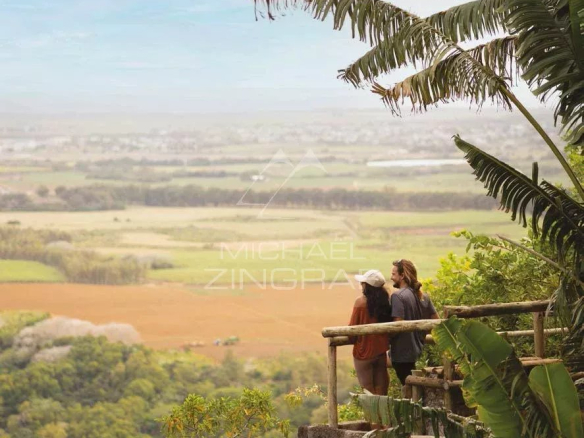 Two people admiring a verdant landscape from a viewpoint with trees in the foreground.