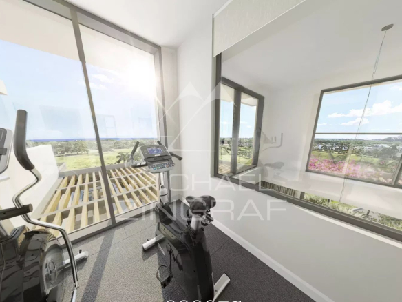 Modern gym overlooking a tropical garden in Balaclava.
