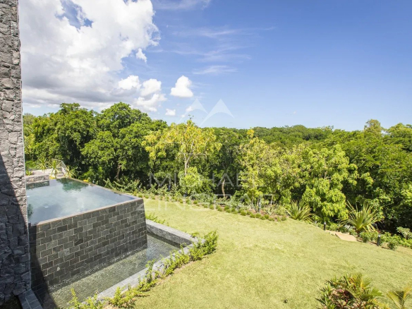 View of a villa with private pool and green garden in Haute Rive, Azuri