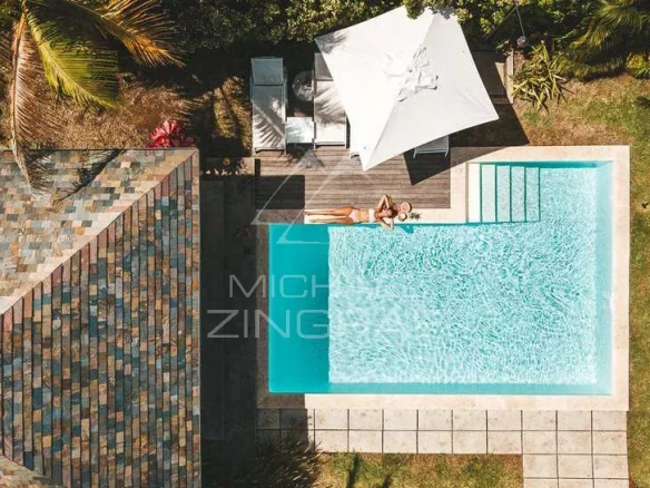 Vue aérienne d'une villa avec piscine, transat et parasol, entourée de verdure.