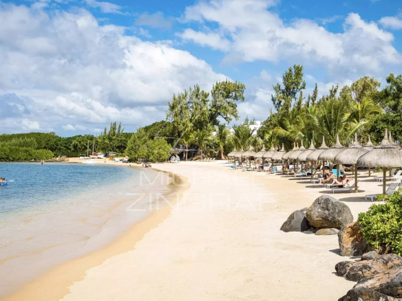 Plage de sable avec parasols et chaises longues, bordée par des eaux calmes et des palmiers.