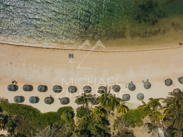 Vue aérienne d'une plage avec parasols et palmiers, près d'une mer calme.
