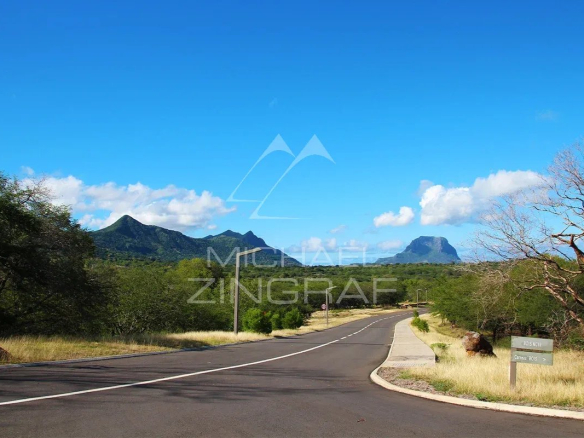Route menant vers des montagnes sous un ciel bleu à l'île Maurice.