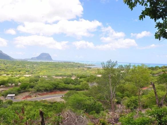 Vue panoramique sur la nature et la mer à Petite Rivière Noire, Île Maurice.
