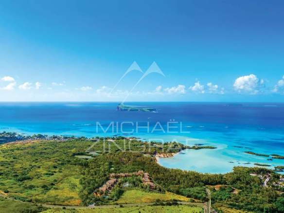 Vue aérienne de l'île Maurice montrant la mer turquoise et la nature environnante à Anse La Raie.