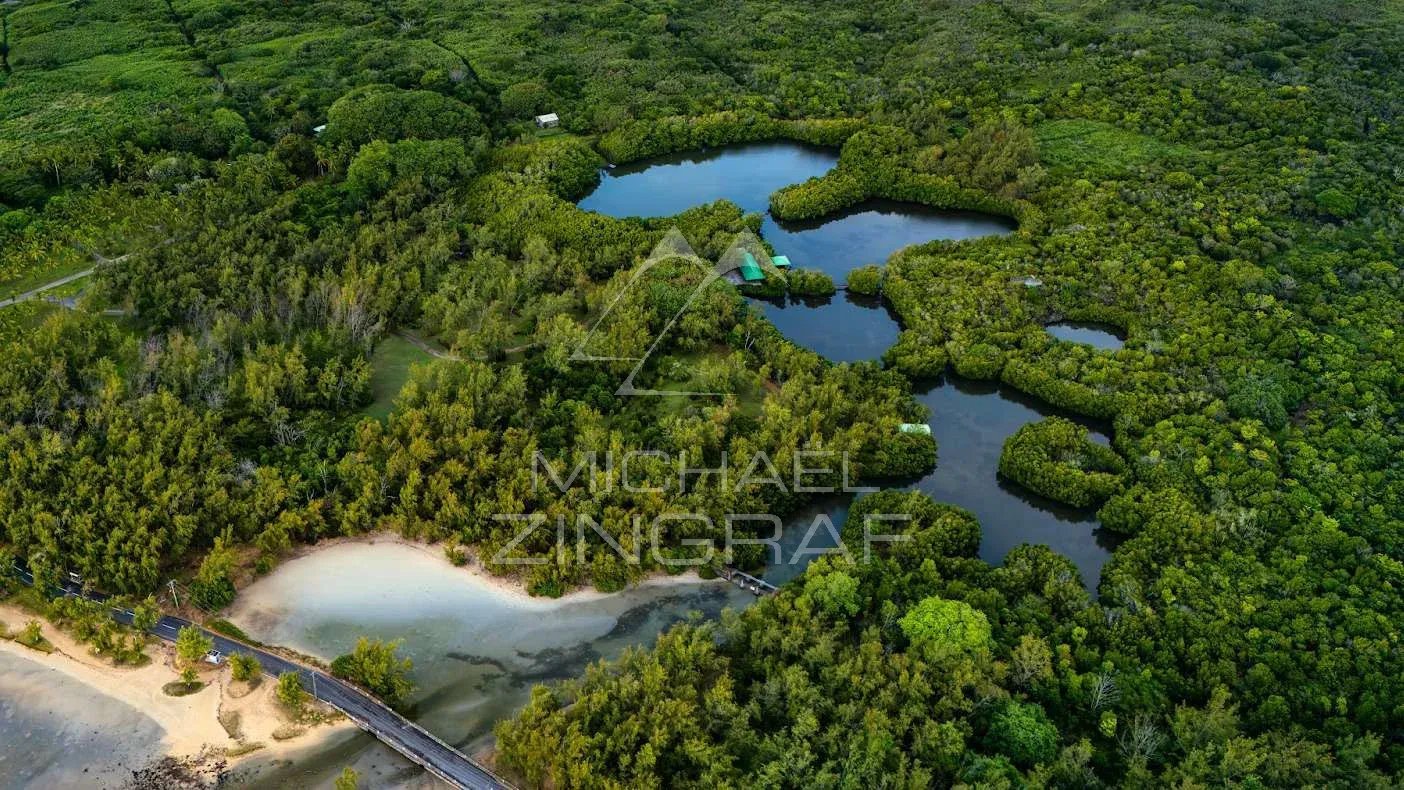 Vue aérienne d'un parc naturel avec des zones boisées et des étangs à Anse La Raie, Île Maurice.