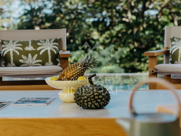 Table basse avec des ananas et des magazines, chaises en bois en arrière-plan, nature environnante