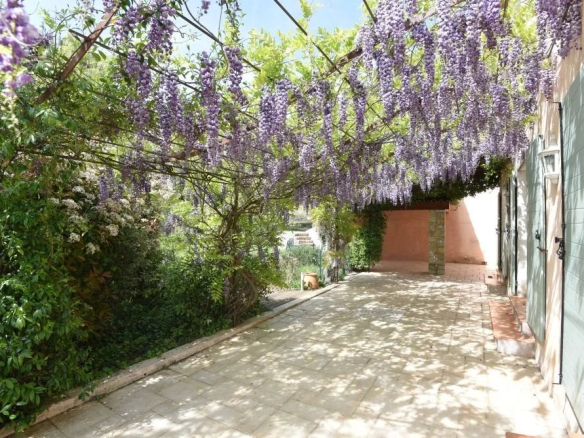 Paved walkway under a canopy of hanging purple wisteria, with green shutters and a peach wall to the right.