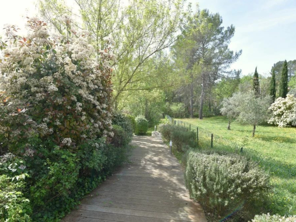 Wooden garden path winding through a lush yard with blooming white flowers on the left and a grassy field on the right under a bright, sunny sky
