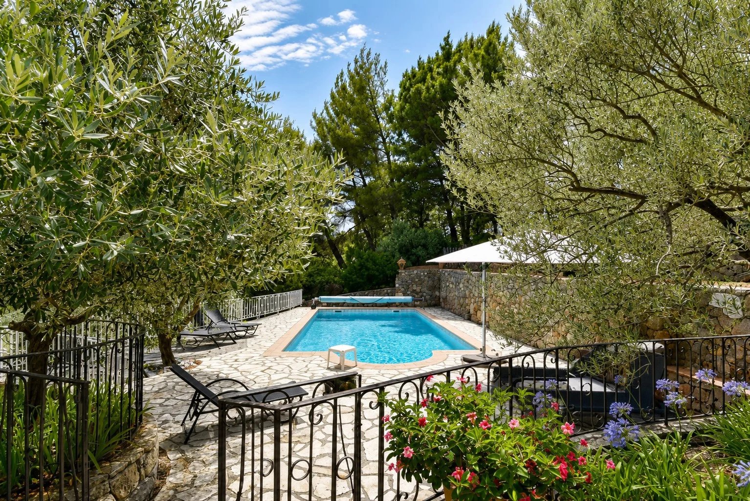 Piscine chauffée entourée d'oliviers et de fleurs dans une maison en pierre à Fayence.
