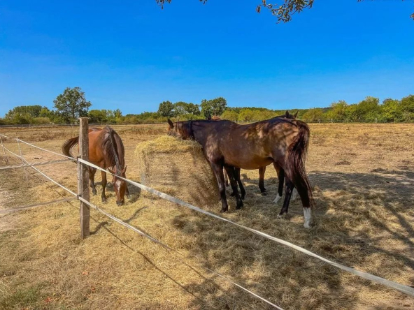 Equestrian property for sale in Ménesplet | €672,000 | 28 ha
