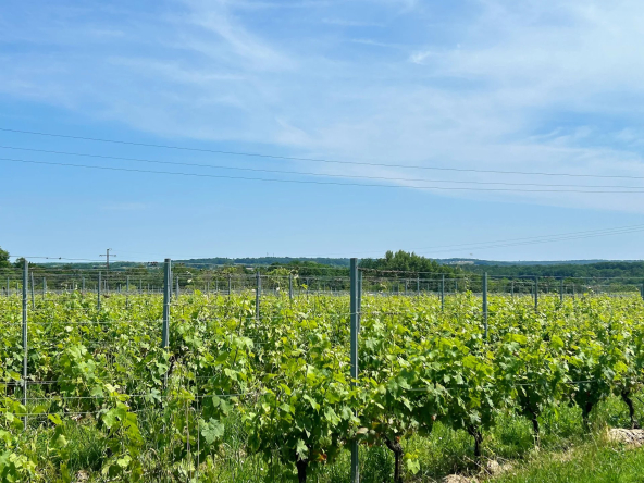 Bordeaux wine property sale | € 2,350,000 | 67 ha