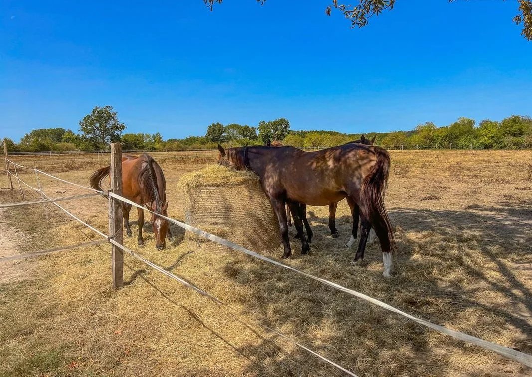 Vente Propriété Viticole 19.72 ha – Montagne Saint-Émilion Bordeaux