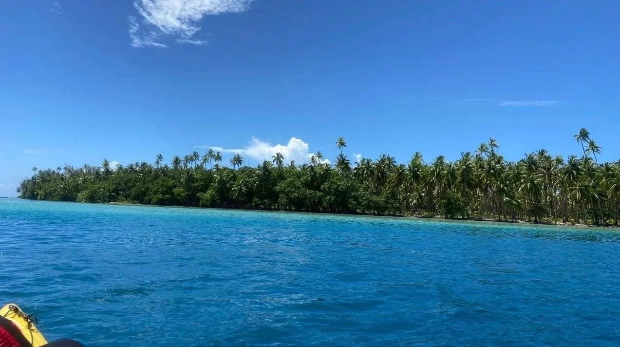 2db99c981204c24ce46d1a9e3b3205db_d3892fa853_1273-original