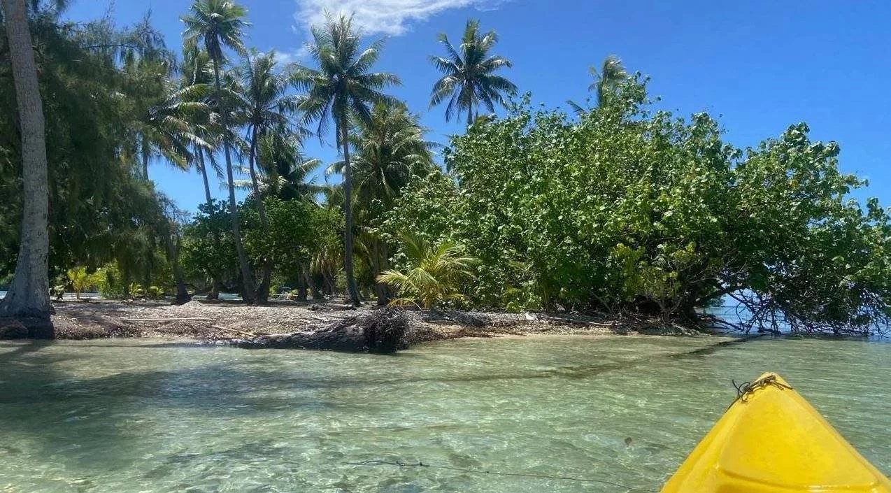 355bdd6b10c9b2b90927785cb948e40e_37bc53d57e_1274-original