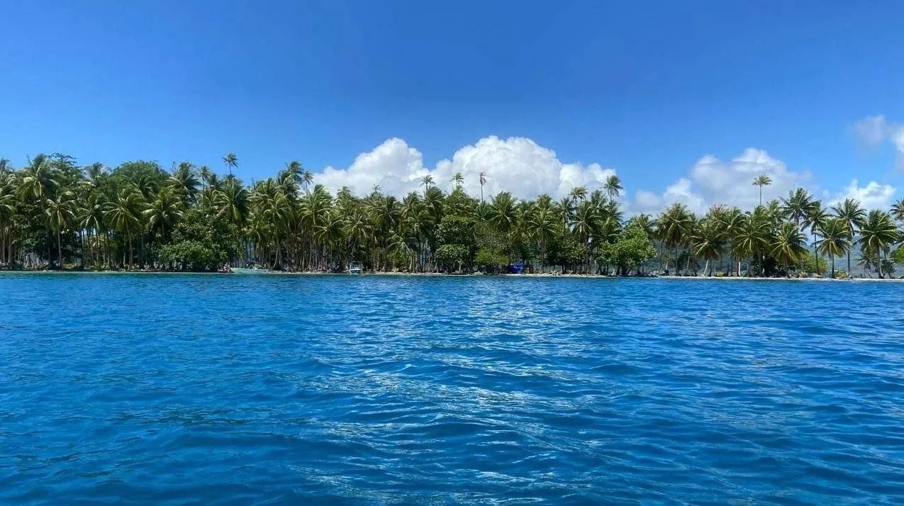 8f3e6e2b6c56d95640faaeed0e059d8d_fac85d0e9a_1275-original