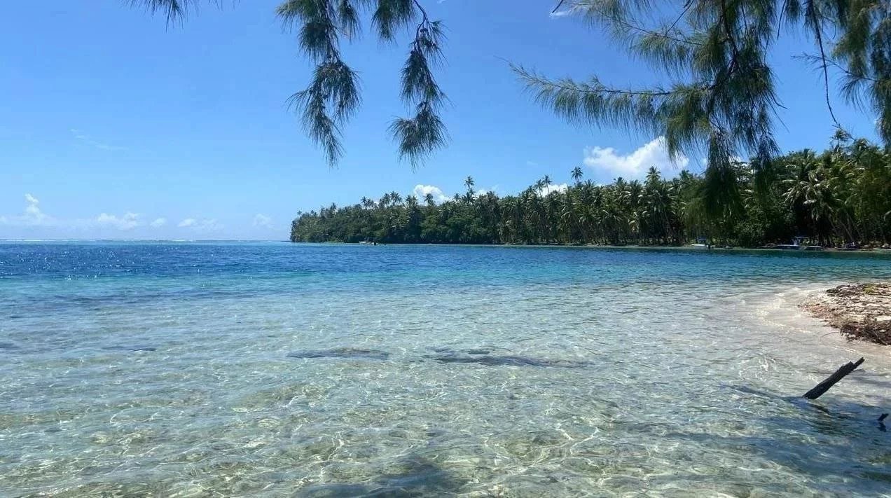 93955c39481ccf3a86f0f4159da52490_b5a98a520b_1272-original