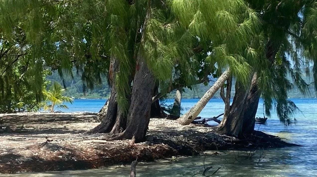 cfbf05b9fa41889740054c6ac49feaa4_91e43cf5af_1272-original