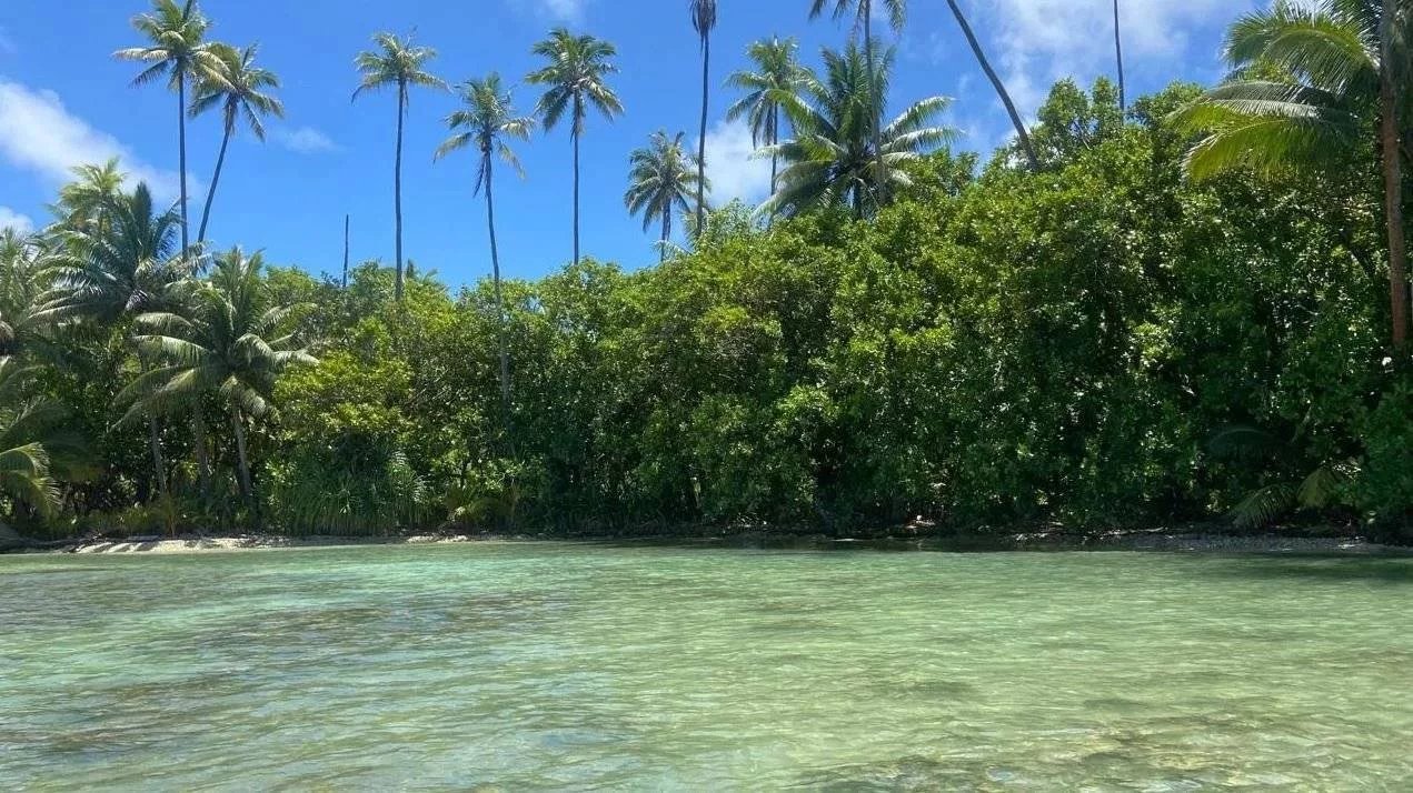 ed96aeb28c4b023c356742bfc4e06266_eb6ebeb0c7_1271-original