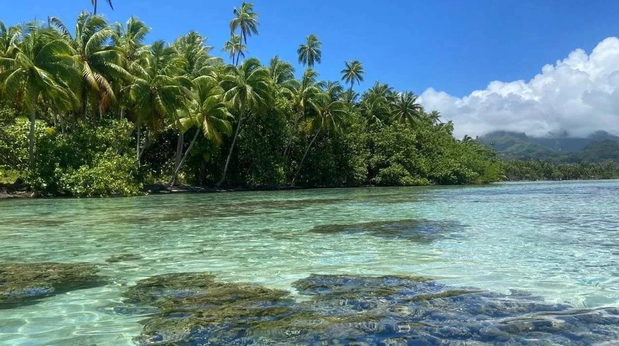 f5ee8347fa21a8641d006a4b00aa761e_0f1a099c6e_1272-original