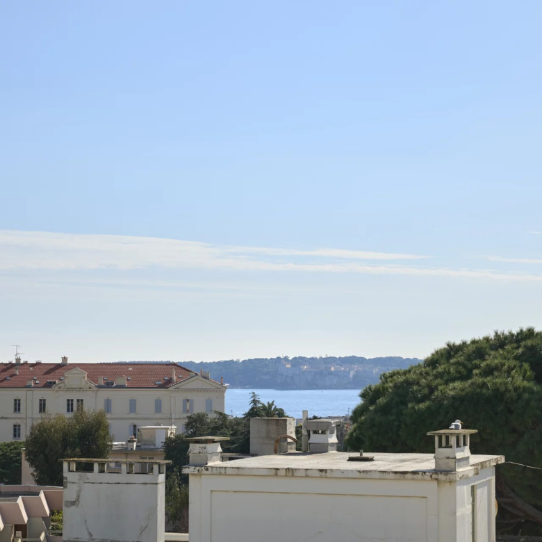 Appartement vue mer terrasse 3 suites à Cannes Palm Beach