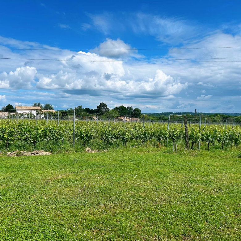 Villa with 4 apartments and sea view for sale in Les Issambres (83)