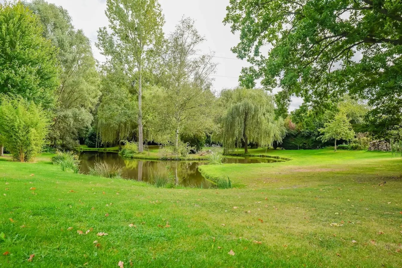 1cbdc7814c27658d59898274ac8af464_ca46f8e441_1344-original