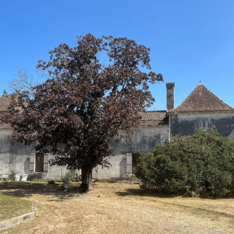 Bastide en pierre à vendre Sari-Solenzara (20145)