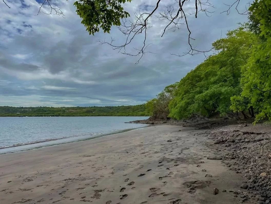 1f0105963b332ceb7d7976bb9a05c889_26ff2e4b01_1056-original