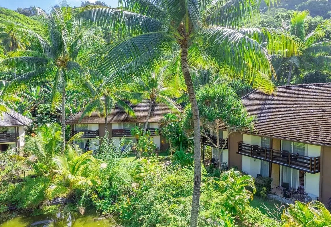 825ff632c554a01905a5db177d002930_f359043bfb_1156-original