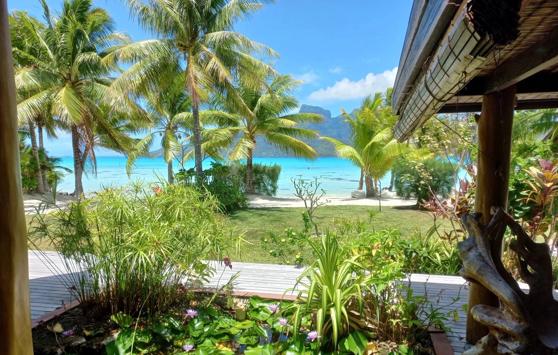 18276cd3b351073758c84567b1ef9478_8321ff96ad_1920-original