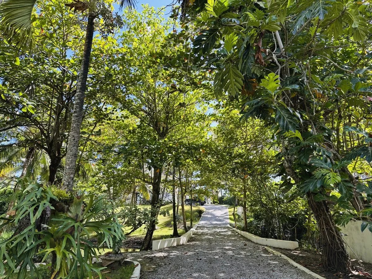 1885accfad2ac6a533eec6f1627278dd_38c079cd9f_1200-original