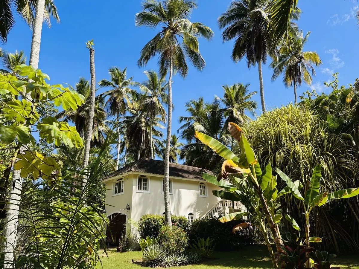 5b8958d2f053bbee54b5c29c97905d8d_223ff12e19_1200-original