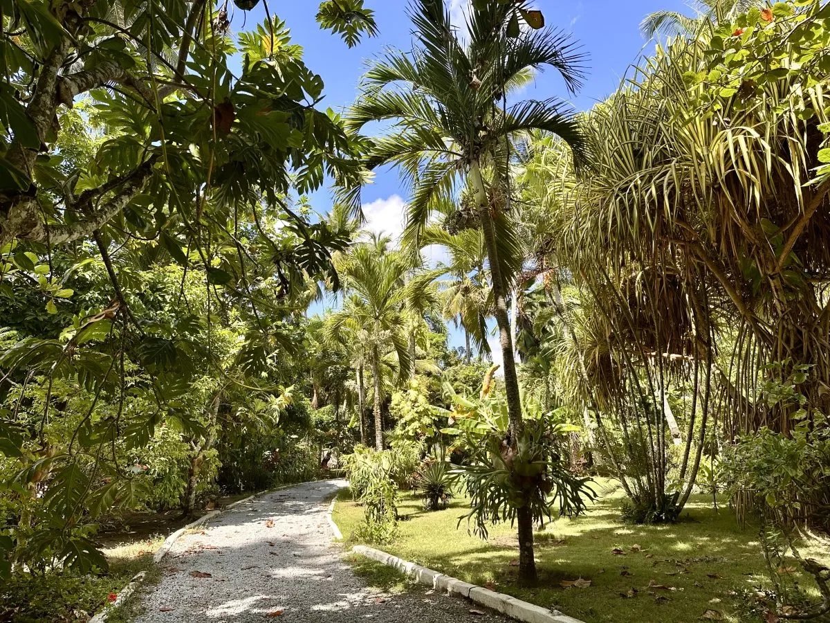 61792ce775aea0bc8e584ce294f4ce76_1a21c843a3_1200-original