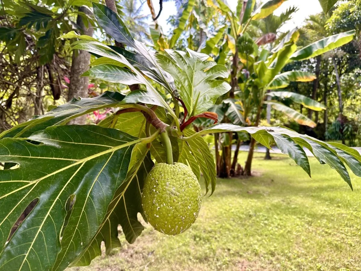 b9f84a56549b14e61b3d3429269aa55f_aa3fb21a01_1200-original