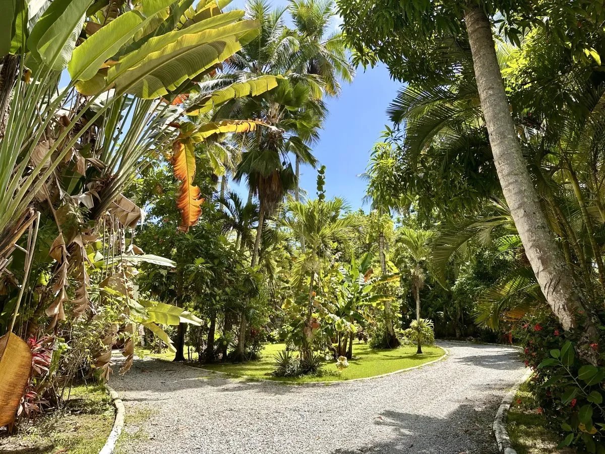 d11a0705144b3ae8a4439f55776815bf_9b87a6d5ef_1200-original