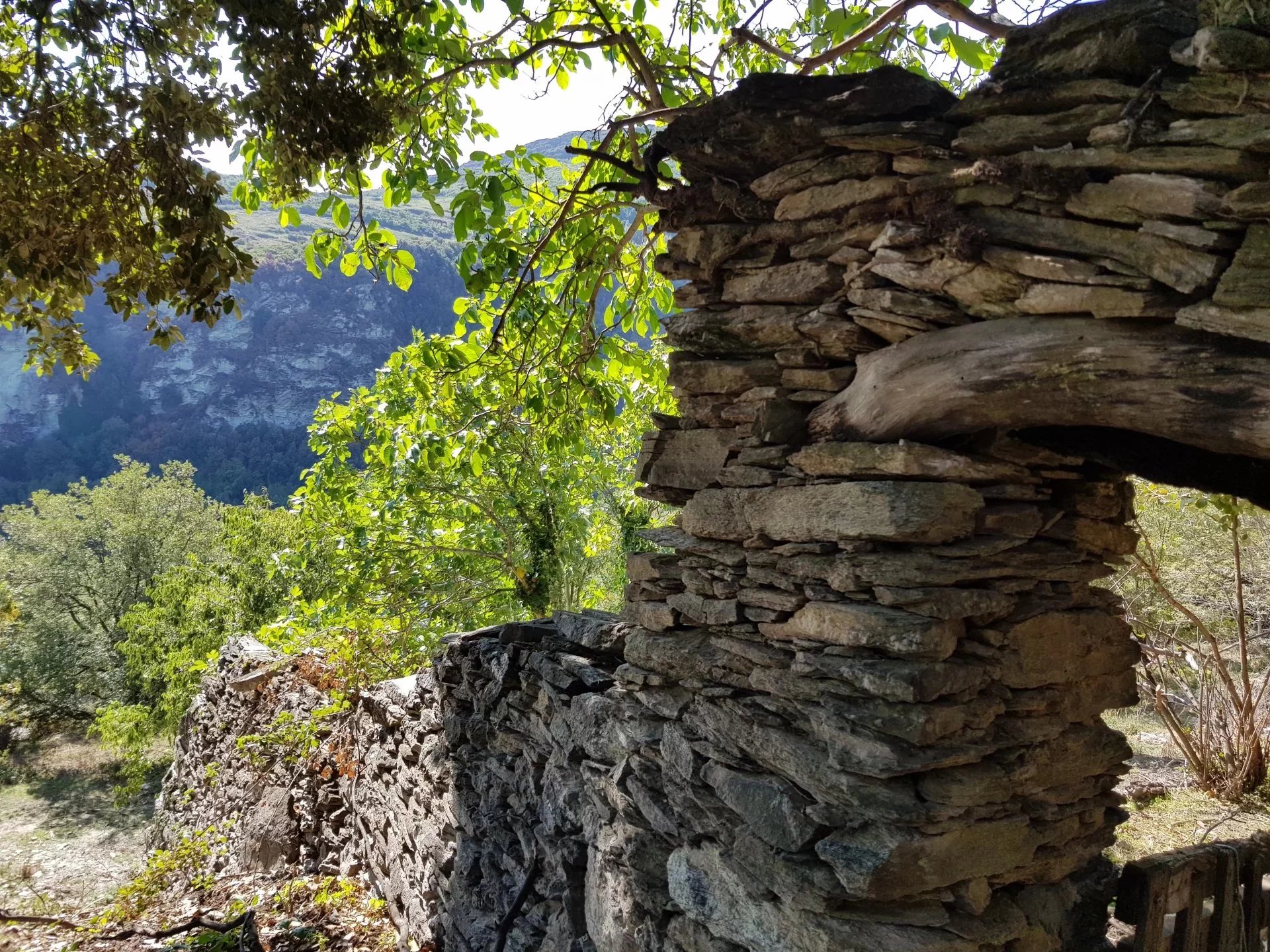 e533e49510dbb220eb0626481c111bd2_2bac2c9067_1920-original