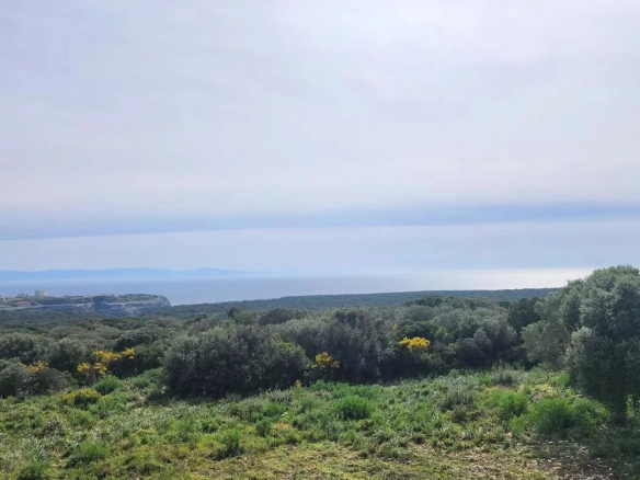 Luxury Villa in Bonifacio – Panoramic Sea, Citadel and Sardinia Views