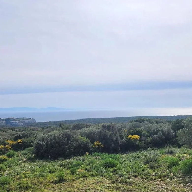 Casa Altamira PACIFICO Papagayo Playas del Coco Costa Rica