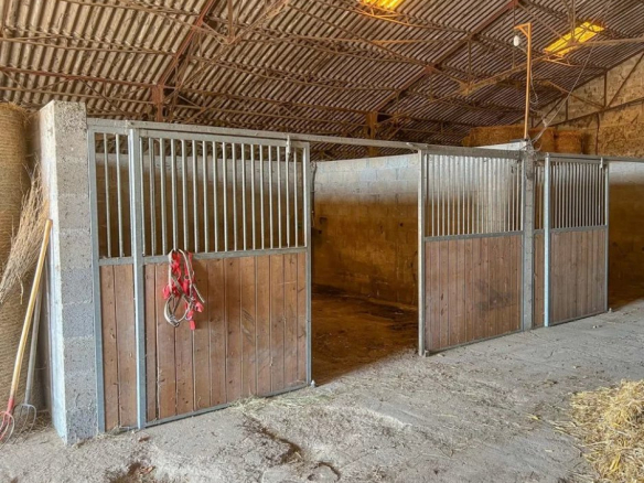 Intérieur d'un haras avec plusieurs box pour chevaux.